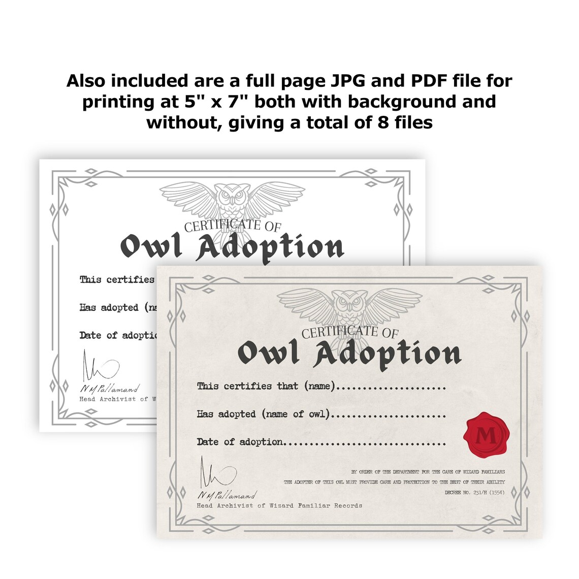 Owl Adoption Certificate Printable Digital Download | Etsy