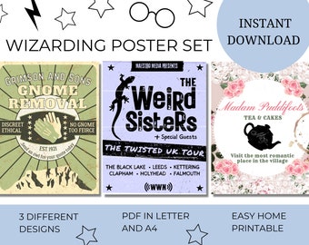 Magical Advert Posters / Flyers | Printable Digital Download | Wizard Party Printable Decor