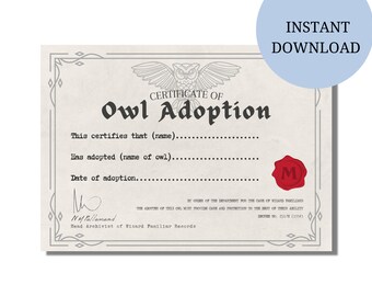 Owl Decor - Etsy