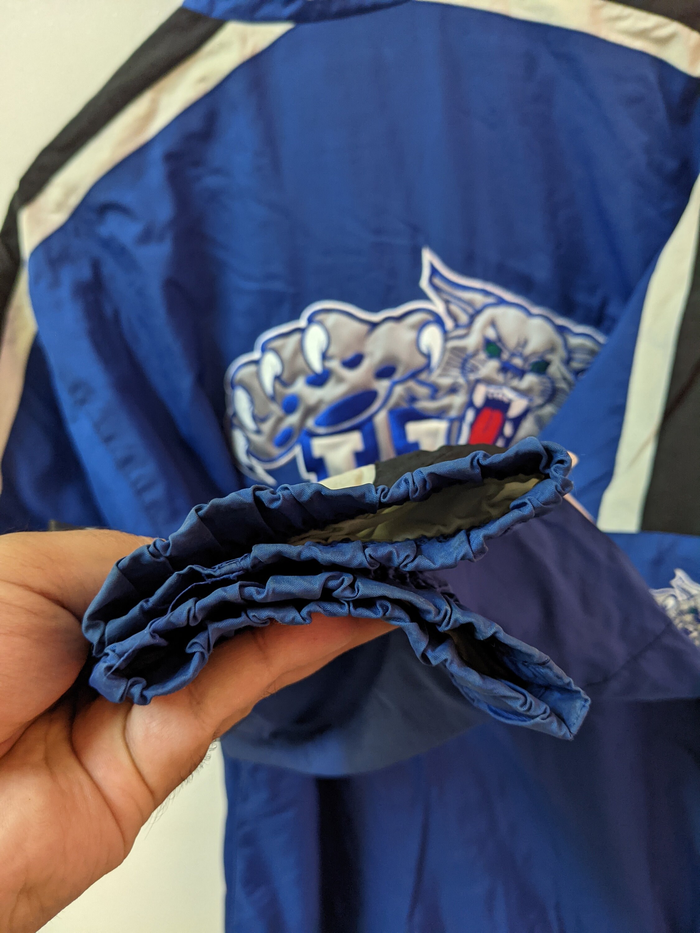 Vintage 90s University Kentucky Wildcats Embroidered Logo