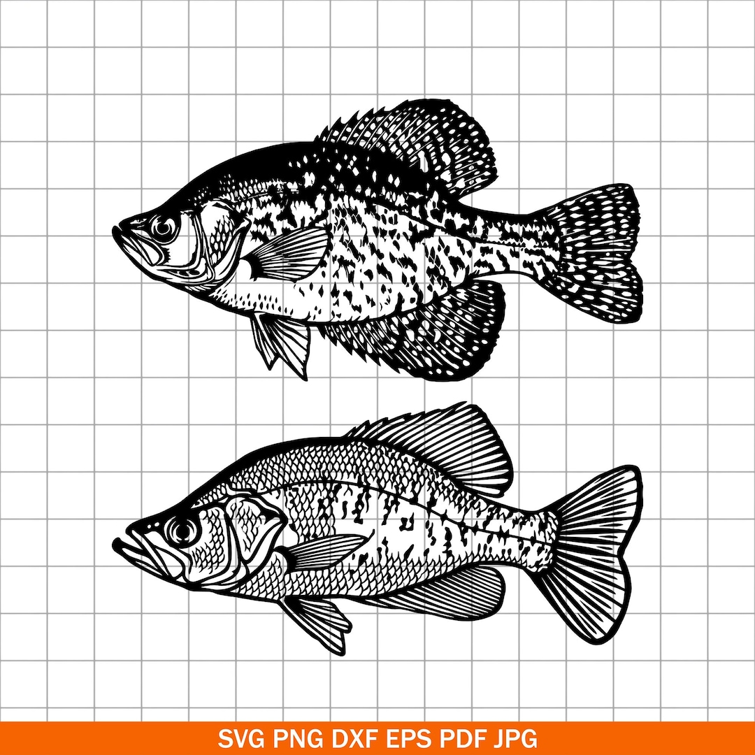 crappie fishing pole svg Clear Decal 3x2 1standard SVG file Fishing SVG Crappie Whisperer -