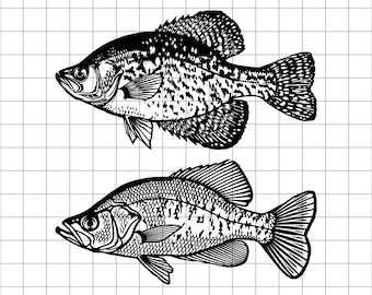 Crappie SVG PNG DXF, Black and White Crappie Fish Cut File, Fishing Gift Decor