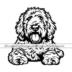 Goldendoodle SVG PNG DXF, Goldendoodle Gesicht SVG, Goldendoodle Clipart, Dateien für Cricut, Goldendoodle Schnittdateien für Silhouette, Eps, Vektor