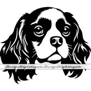 Cavalier King Charles Spaniel #2 SVG, Cavalier King Charles Spaniel Clipart, Archivos para Cricut, Archivos de corte para Silhouette, DXF, PNG, Eps, Vector