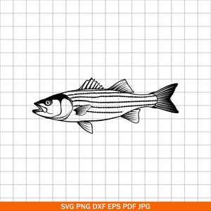 Pode incluir: Ilustração a preto e branco de um robalo riscado. O peixe é retratado em perfil, com linhas detalhadas mostrando as suas escamas, barbatanas e boca. Adequado para designs relacionados com a pesca ou temas náuticos.