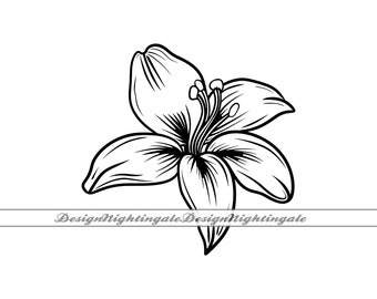 Archivos SVG de flores de lirio, imágenes prediseñadas para corte (descarga digital)