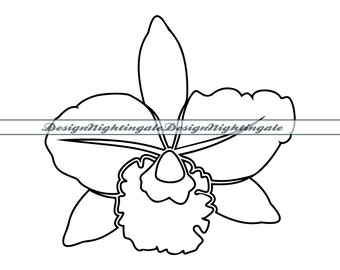 Contour d'orchidées SVG, clipart floral (fichiers numériques)
