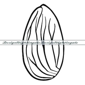 Mandelkontur SVG, Mandel SVG, Nötter SVG, Mandel Clipart, Mandelfiler för Cricut, Mandelklippfiler för Silhuett, Dxf, Png, Eps, Vektor