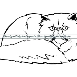 Perzische kat SVG, Perzische kat clipart, Perzische kat bestanden voor Cricut, Perzische kat gesneden bestanden voor silhouet, dxf, Perzische kat png, eps, vector