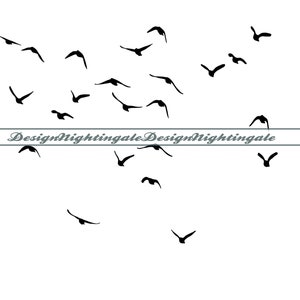 Puede incluir: Silueta negra de una bandada de pájaros volando en formación sobre un fondo blanco. Los pájaros vuelan en forma de V con el texto "DesignNightingale" en la parte inferior de la imagen.