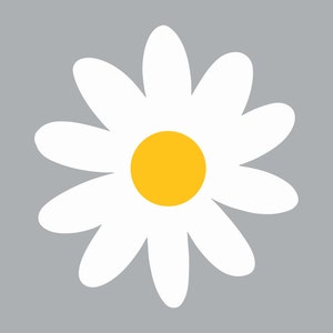 Könnte beinhalten: Eine weiße Margerite mit gelber Mitte auf grauem Hintergrund.