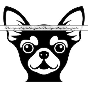 Chihuahua SVG, Chihuahua Gesicht SVG, Chihuahua Clipart, Chihuahua-Dateien für Cricut, Chihuahua Schnittdateien für Silhouette, Dxf, PNG, Eps, Vektor