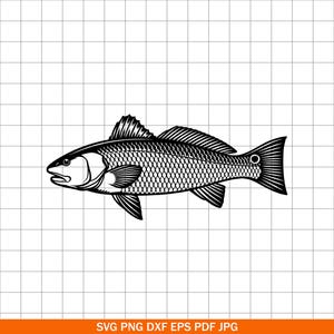 May include: Black and white illustration of a fish, likely a redfish, with detailed scales and fins. The image is a vector graphic, suitable for various applications. The fish is depicted in profile, facing left, with a grid background.