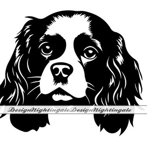 Cavalier King Charles Spaniel SVG, Clipart Cavalier King Charles Spaniel, fichiers pour Cricut, couper des fichiers pour la Silhouette, DXF, PNG, Eps, vecteur