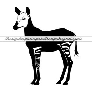 May include: Black and white silhouette of an okapi, a mammal native to the Democratic Republic of the Congo, standing on all four legs.