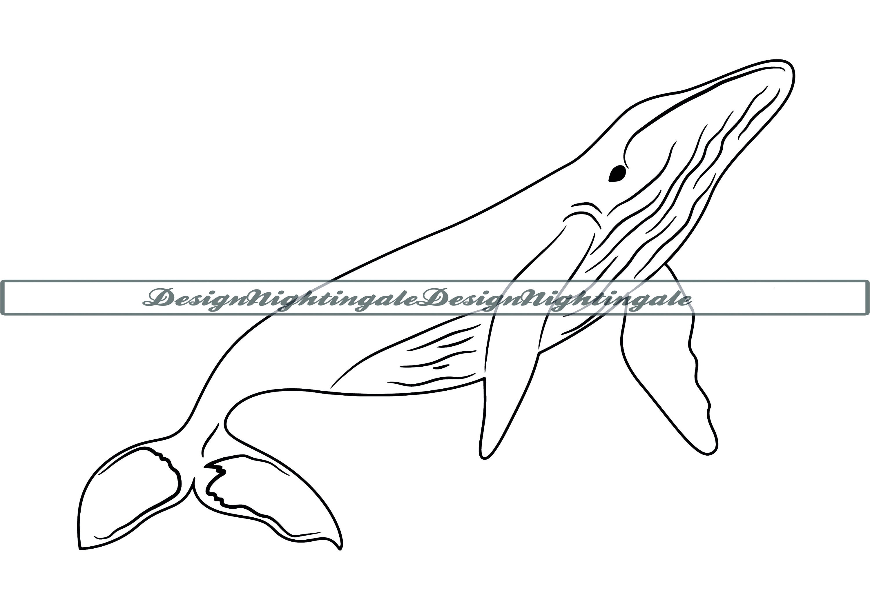 Humpback Whale Outline SVG Whale Clipart Humpback Whale | Etsy