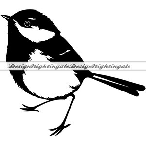 Magnífico hada de la selva SVG, hada de la selva SVG, pájaro Svg, magnífico hada de la selva Clipart, archivos para Cricut, archivos de corte para Silhouette, DXF, Png, Eps, Vector