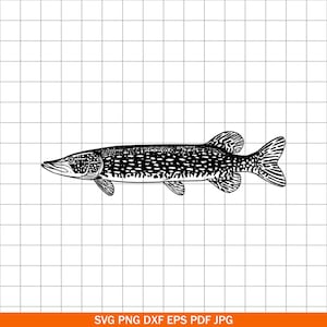 May include: A black and white illustration of a Northern Pike fish. The fish is depicted in profile, showcasing its elongated body, detailed scales, and distinctive fins. The image is a vector graphic, suitable for various applications.