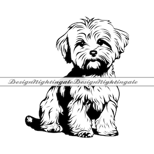 Maltese SVG, Maltese Clipart, Maltese Files For Cricut, Maltese Cut Files For Silhouette, Maltese DXF, Maltese PNG, Maltese Vector