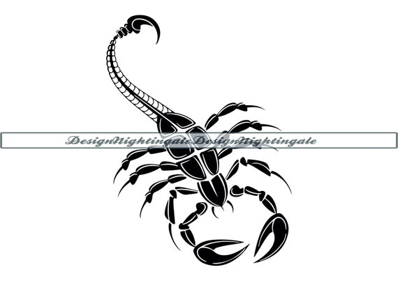 Scorpion Tattoo PNG Clipart Art Blackandgray Black And White Drawing  Evil Free PNG Download