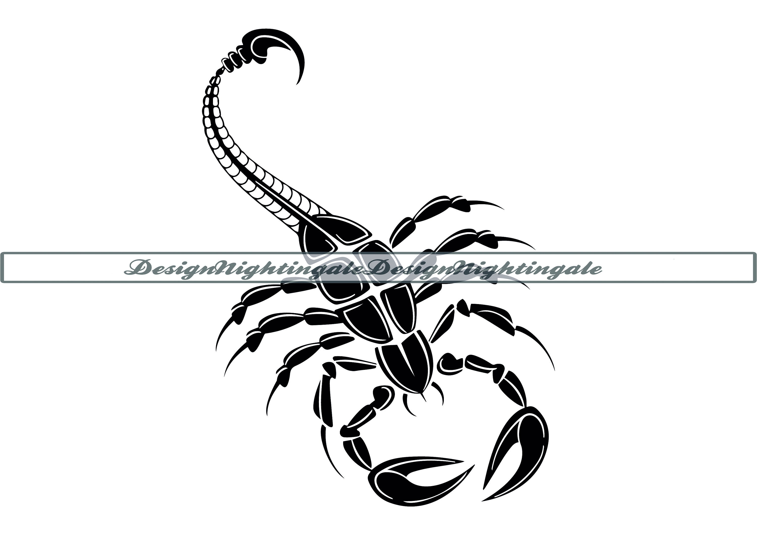 Vertical Scorpion Tattoo transparent PNG  StickPNG