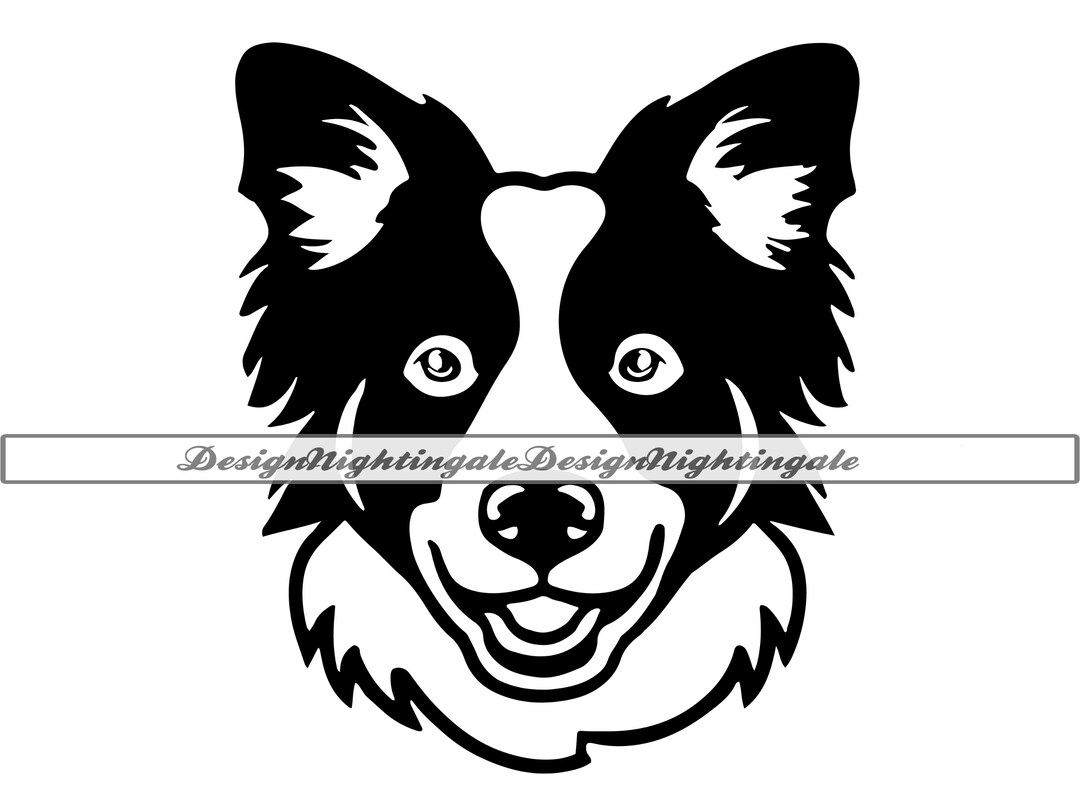 Border Collie SVG, Border Collie Face SVG, Border Collie Clipart, Files