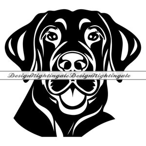 Labrador SVG, Labrador Face SVG, Labrador Clipart, Labrador Files For Cricut, Labrador Cut Files For Silhouette, Dxf, PNG, Eps, Vector