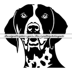 Puede incluir: Silueta en blanco y negro de la cabeza de un perro Braco Alemán de Pelo Corto. El perro mira directamente al espectador con las orejas levantadas.