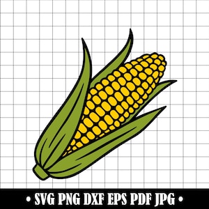 Puede incluir: Ilustración vectorial de una mazorca de maíz, con granos amarillos y hojas verdes. La imagen es un gráfico digital, adecuado para varios proyectos de diseño. La parte inferior de la imagen incluye información sobre el tipo de archivo.
