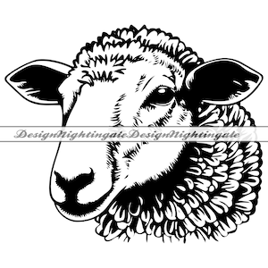 Faccia di pecora SVG, Faccia di pecora realistica SVG, Pecora SVG, Clipart di pecora, File di pecora per Cricut, File di taglio di pecora per silhouette, Dxf, Png, Vettore