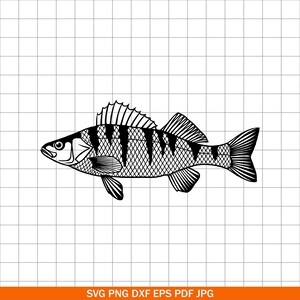 Walleye SVG PNG DXF, Walleye Fish Cut File, Cricut Fishing Design
