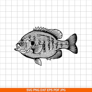 May include: Black and white illustration of a fish, likely a sunfish, with detailed scales and fins. The fish is depicted in profile, with its mouth open. The image includes the text "SVG PNG DXF EPS PDF JPG" at the bottom.