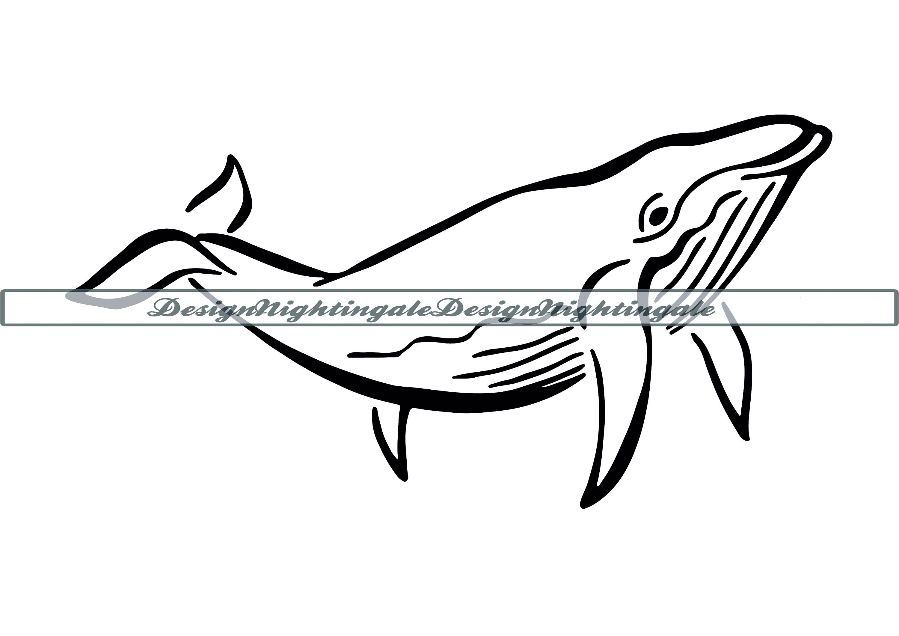 Buckelwal Umriss 2 SVG Wal Clipart Buckelwal Dateien für - Etsy.de