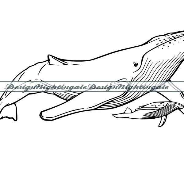 Humpback Whale with Baby SVG, Humpback Whale SVG, Whale Clipart, Humpback Whale Files For Cricut, Cut Files For Silhouette, Dxf, Png, Vector