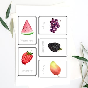 Watercolor Fruit study card- 3 part card- Montessori inspired- printable- learning poster