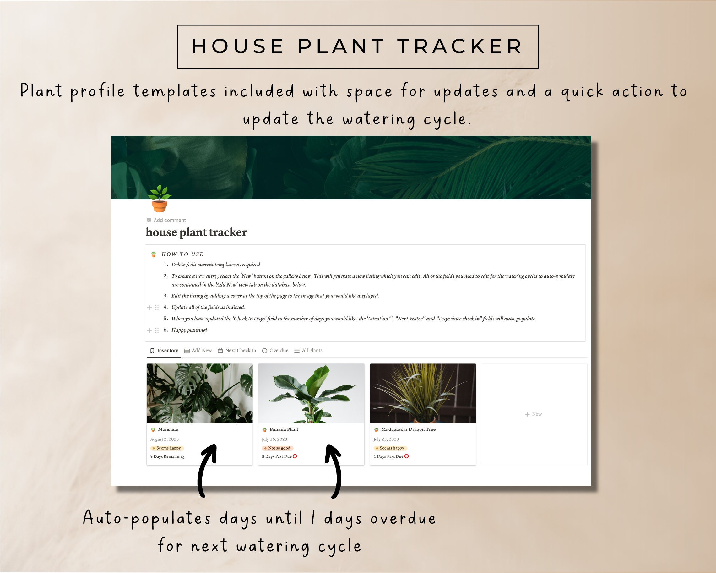 Notion Daily Planner Template Aesthetic Dashboard Tasks - Etsy