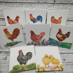 May include: A collection of eight square greeting cards featuring watercolor illustrations of various chickens, roosters, and two yellow chicks. Each card displays a different bird in a natural setting, including green grass, purple lavender, and yellow flowers.