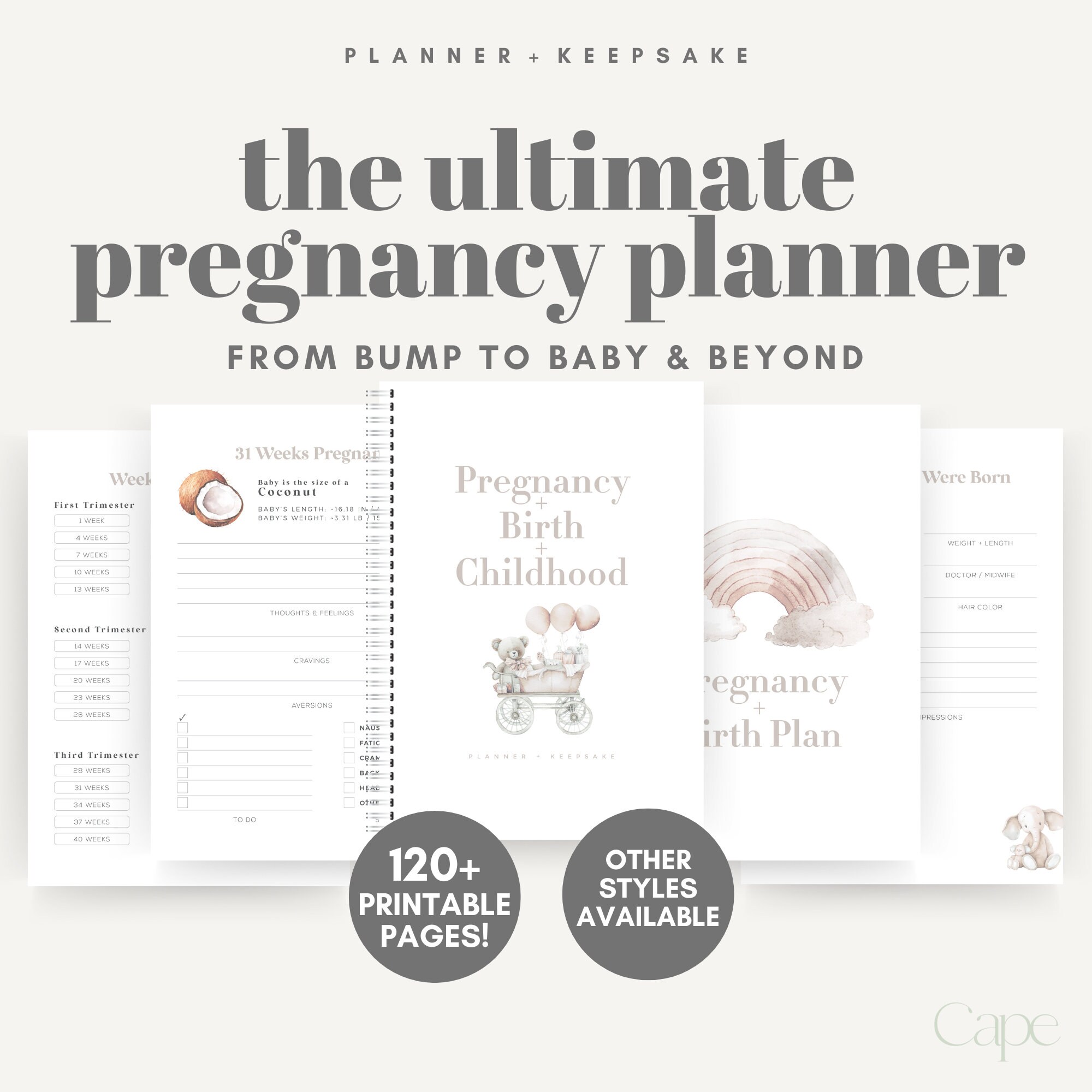 Printable Pregnancy Planner, Printable Pregnancy Journal, Bump to Baby ...
