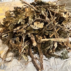 Perlhuhn, Petiveriaallianzen, 1LB 29 USD(Anamu)
