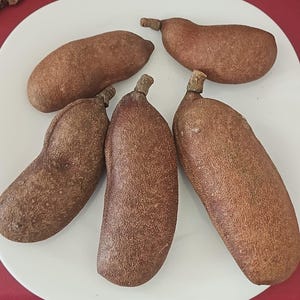 May include: Five brown, oblong fruits with textured skin and small stems are arranged on a white plate. The fruits vary slightly in shape, with a reddish-brown hue. The plate is set against a red surface.