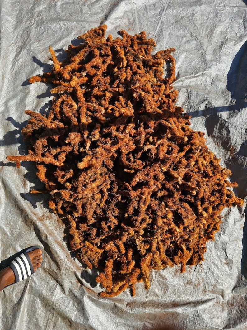 KALAWALA afbeelding 4