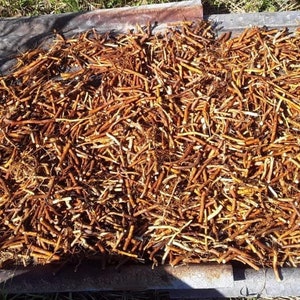 Sarsa Parilla ,Honduras kind , 1 lb ,Dr. Sebi only one he used