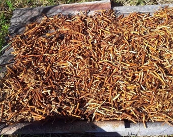 jamaican Sarsa Parilla root