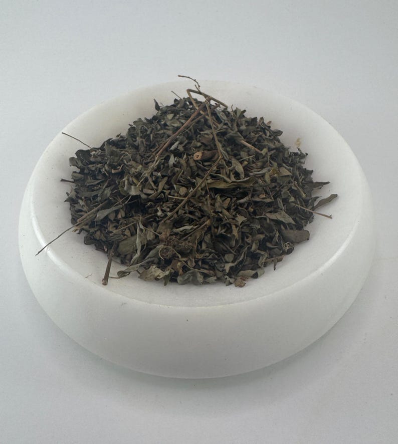 May include: A white bowl filled with dried green leaves and stems.