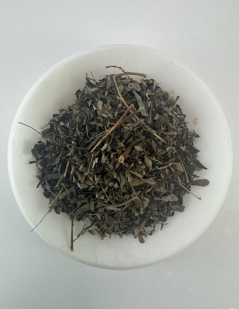 May include: A white bowl filled with dried green leaves and stems. The leaves are a dark green color and appear to be dried herbs.