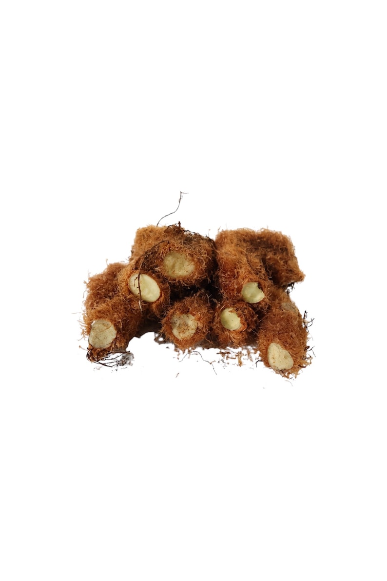 May include: A close-up of a pile of brown, fibrous roots with white, fleshy sections. The roots are arranged in a loose pile, with some of the white sections visible.