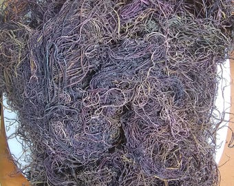 Mousse pourpre Honduras