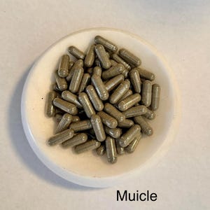 Muicle Capsule