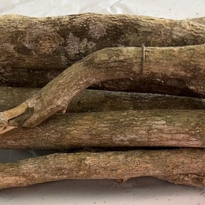 Quassia(Hombre Grande) AKA Man Stärke 1lb