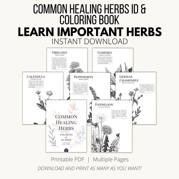 Medicinal Herbs Identification and Coloring Pages